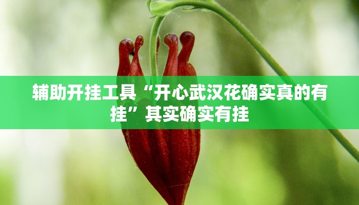 辅助开挂工具“开心武汉花确实真的有挂”其实确实有挂