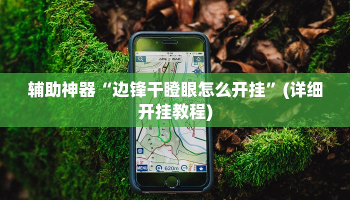 辅助神器“边锋干瞪眼怎么开挂”(详细开挂教程)