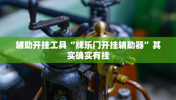 辅助开挂工具“牌乐门开挂辅助器”其实确实有挂