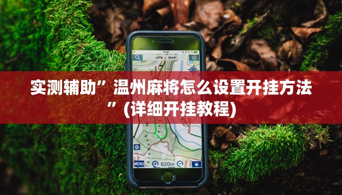 实测辅助”温州麻将怎么设置开挂方法”(详细开挂教程)