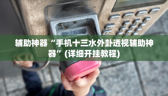 辅助神器“手机十三水外卦透视辅助神器”(详细开挂教程)
