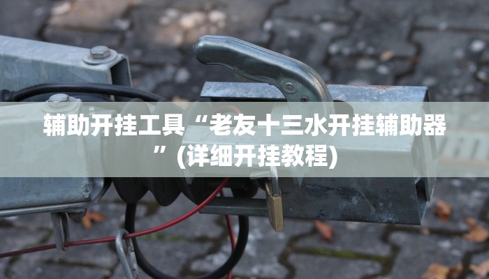 辅助开挂工具“老友十三水开挂辅助器”(详细开挂教程)
