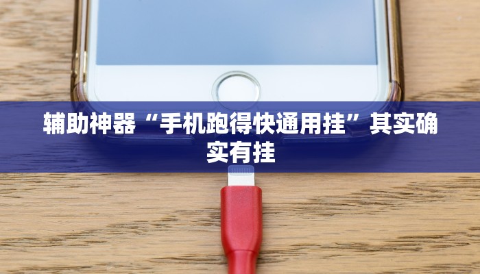 辅助神器“手机跑得快通用挂”其实确实有挂