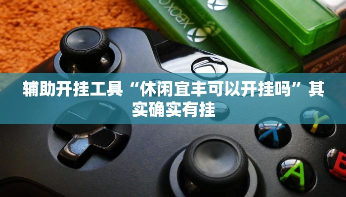 辅助开挂工具“休闲宜丰可以开挂吗”其实确实有挂