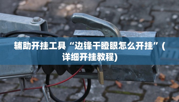 辅助开挂工具“边锋干瞪眼怎么开挂”(详细开挂教程)