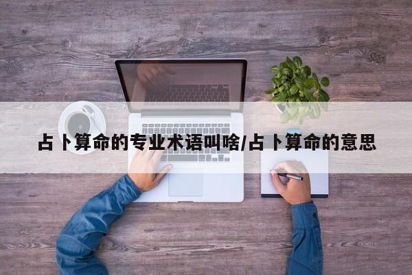 辅助神器“天天九州麻将外卦神器下载安装”其实确实有挂