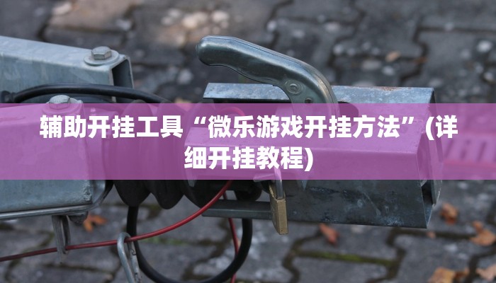 辅助开挂工具“微乐游戏开挂方法”(详细开挂教程)