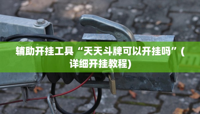辅助开挂工具“天天斗牌可以开挂吗”(详细开挂教程)