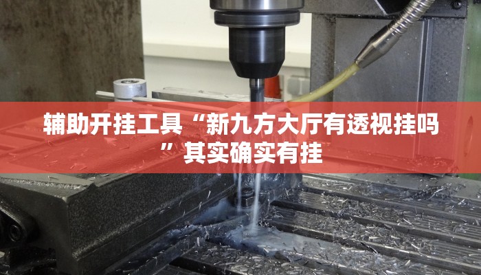 辅助开挂工具“新九方大厅有透视挂吗”其实确实有挂