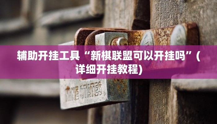 辅助开挂工具“新棋联盟可以开挂吗”(详细开挂教程)