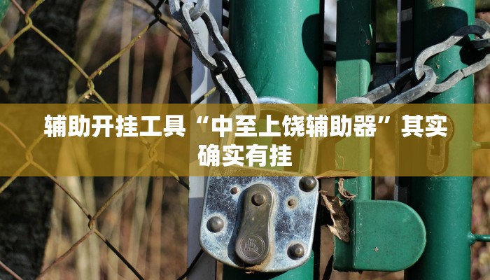 辅助开挂工具“中至上饶辅助器”其实确实有挂