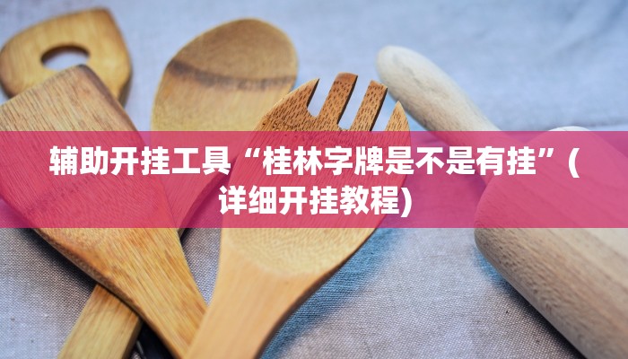 辅助开挂工具“桂林字牌是不是有挂”(详细开挂教程)
