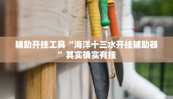 辅助开挂工具“海洋十三水开挂辅助器”其实确实有挂