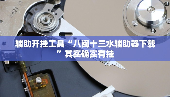 辅助开挂工具“八闽十三水辅助器下载”其实确实有挂