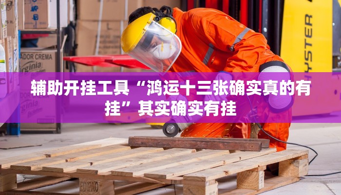 辅助开挂工具“鸿运十三张确实真的有挂”其实确实有挂