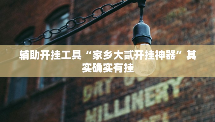 辅助开挂工具“家乡大贰开挂神器”其实确实有挂