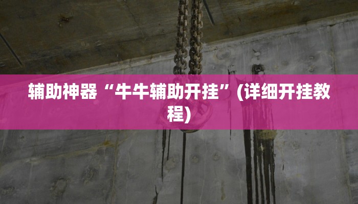 辅助神器“牛牛辅助开挂”(详细开挂教程)