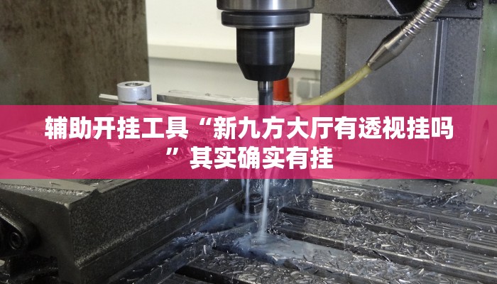 辅助开挂工具“新九方大厅有透视挂吗”其实确实有挂