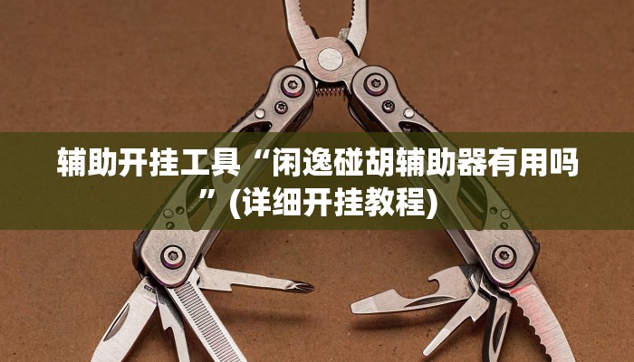 辅助开挂工具“闲逸碰胡辅助器有用吗”(详细开挂教程)