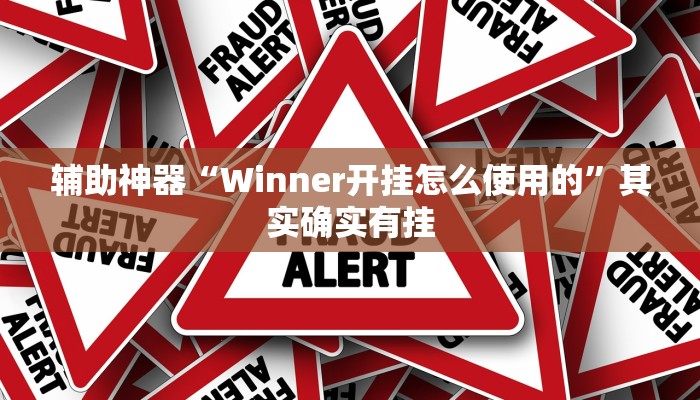 辅助神器“Winner开挂怎么使用的”其实确实有挂