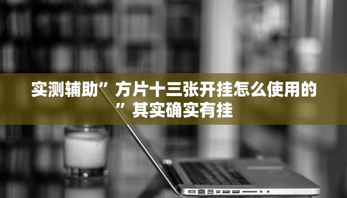 实测辅助”方片十三张开挂怎么使用的”其实确实有挂