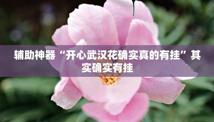 辅助神器“开心武汉花确实真的有挂”其实确实有挂