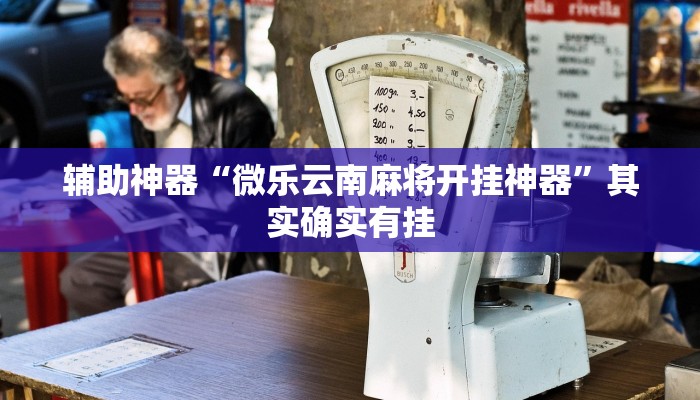 辅助神器“微乐云南麻将开挂神器”其实确实有挂