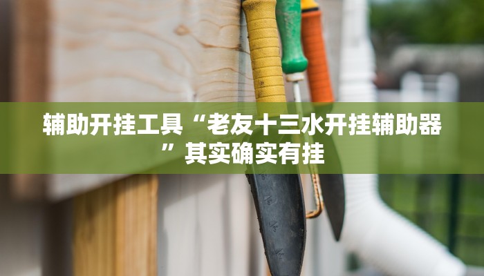 辅助开挂工具“老友十三水开挂辅助器”其实确实有挂