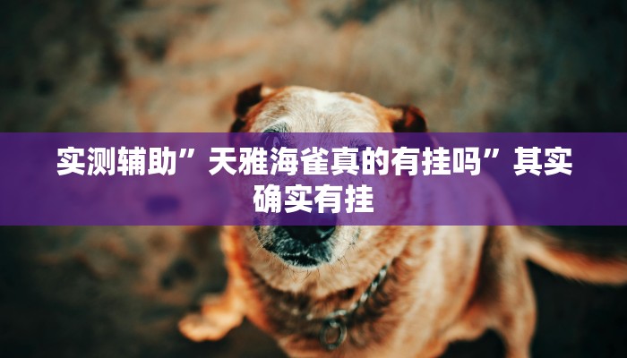 实测辅助”天雅海雀真的有挂吗”其实确实有挂