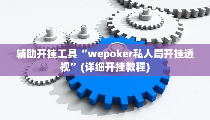 辅助开挂工具“wepoker私人局开挂透视”(详细开挂教程)