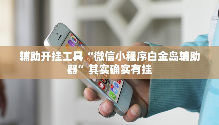 辅助开挂工具“微信小程序白金岛辅助器”其实确实有挂