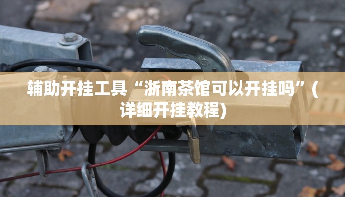 辅助开挂工具“浙南茶馆可以开挂吗”(详细开挂教程)