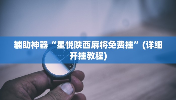 辅助神器“星悦陕西麻将免费挂”(详细开挂教程)