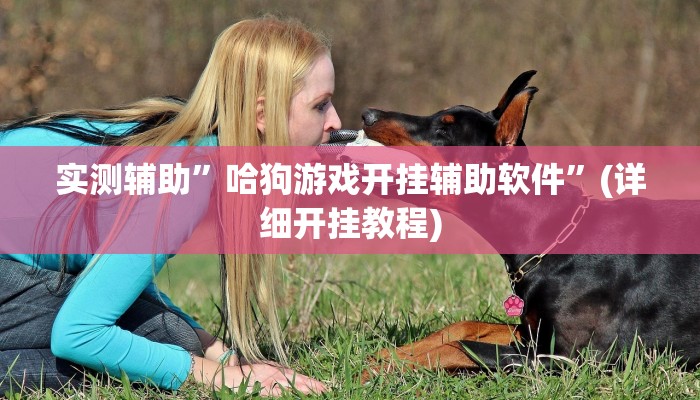 实测辅助”哈狗游戏开挂辅助软件”(详细开挂教程)