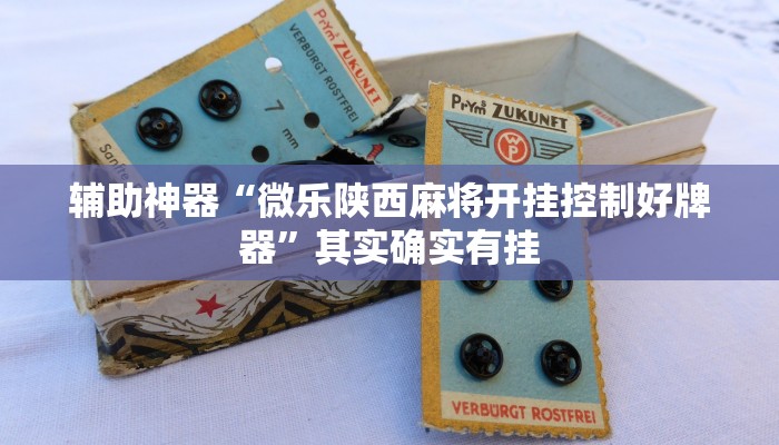 辅助神器“微乐陕西麻将开挂控制好牌器”其实确实有挂