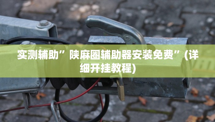实测辅助”陕麻圈辅助器安装免费”(详细开挂教程)
