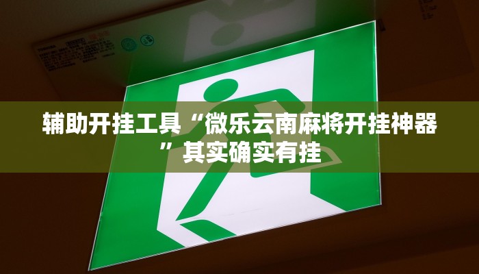 辅助开挂工具“微乐云南麻将开挂神器”其实确实有挂