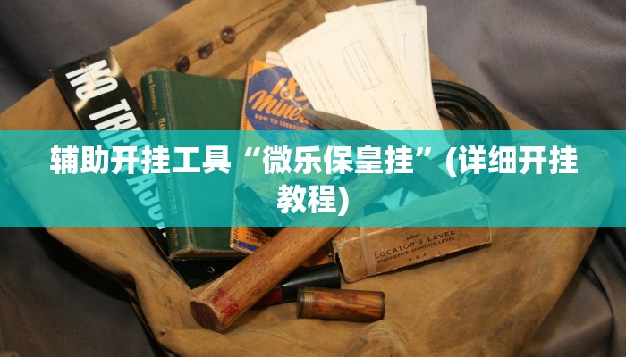辅助开挂工具“微乐保皇挂”(详细开挂教程)