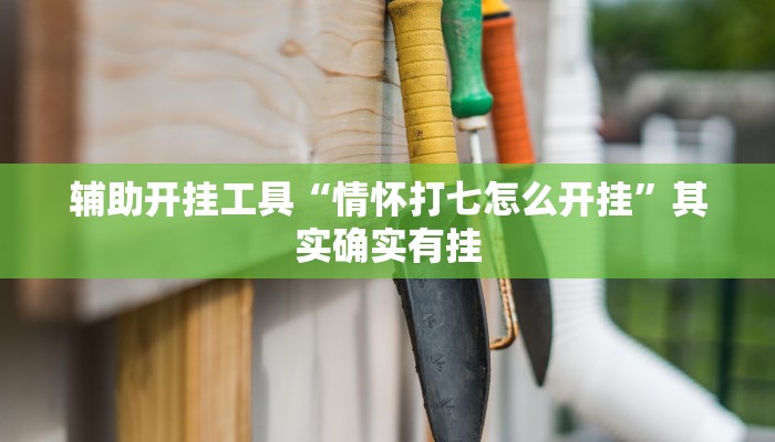 辅助开挂工具“情怀打七怎么开挂”其实确实有挂