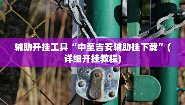 辅助开挂工具“中至吉安辅助挂下载”(详细开挂教程)