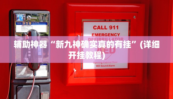 辅助神器“新九神确实真的有挂”(详细开挂教程)