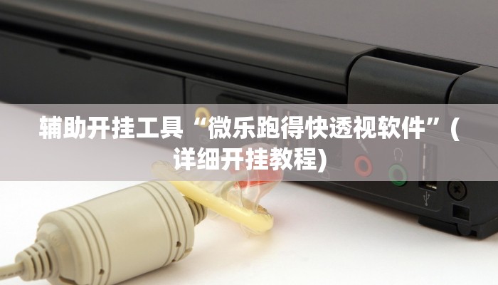 辅助开挂工具“微乐跑得快透视软件”(详细开挂教程)