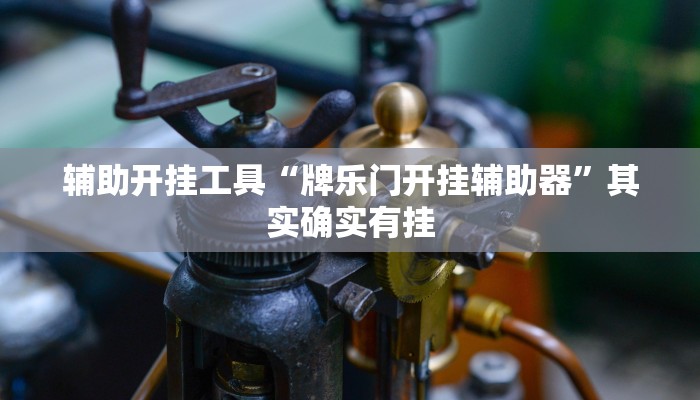 辅助开挂工具“牌乐门开挂辅助器”其实确实有挂