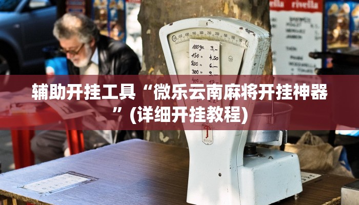 辅助开挂工具“微乐云南麻将开挂神器”(详细开挂教程)