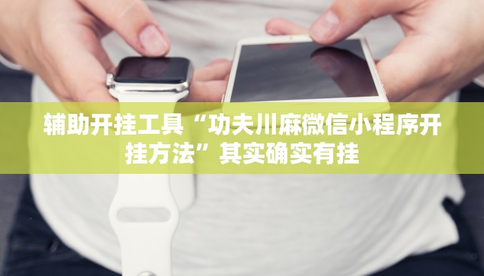 辅助开挂工具“功夫川麻微信小程序开挂方法”其实确实有挂
