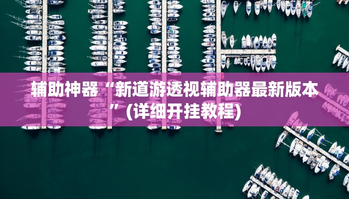 辅助神器“新道游透视辅助器最新版本”(详细开挂教程)