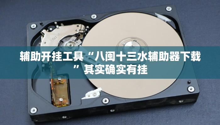 辅助开挂工具“八闽十三水辅助器下载”其实确实有挂