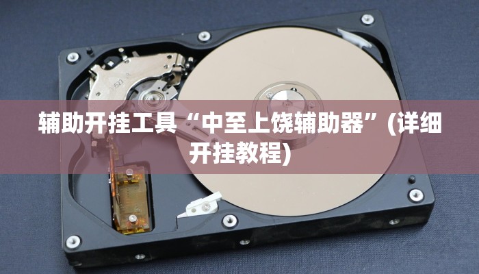 辅助开挂工具“中至上饶辅助器”(详细开挂教程)