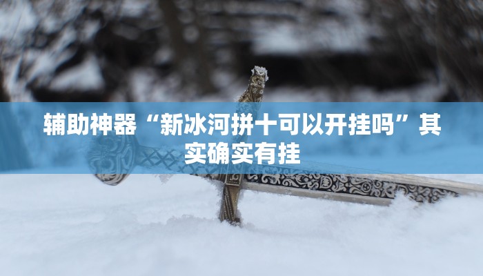 辅助神器“新冰河拼十可以开挂吗”其实确实有挂