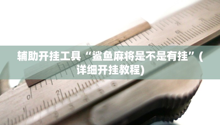 辅助开挂工具“鲨鱼麻将是不是有挂”(详细开挂教程)